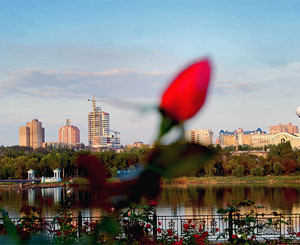 Донецк снова стал городом миллиона роз  