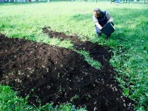 В честь Люблинской унии поляки съедят Лукашенко 