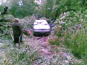 По всему городу падали деревья и столбы 