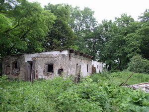 Захламленную территорию возле парка «Знесіння» облагородят  