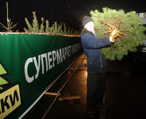 В столице открылся первый елочный супермаркет  