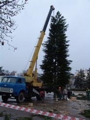  В Крыму зажигают елки 