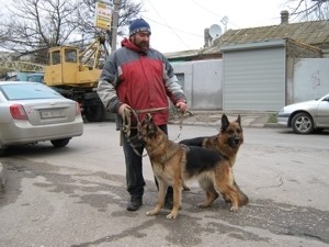 К землетрясениям надо готовиться 