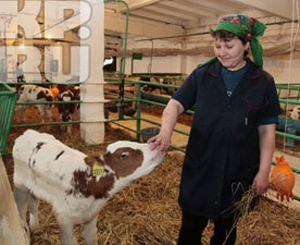 Жители сибирской деревушки отказались переводить «зимнее» время на «летнее»! 