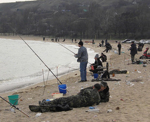 Бычки заполонили Азовское море 