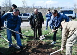 Запорожские випы посадили на Хортице сотню дубов 