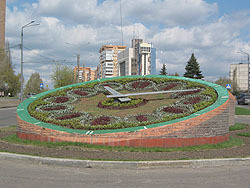 Высадку цветов на клумбах отложили из-за заморозков 