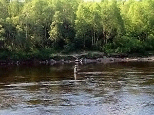 Ночью уровень воды в главной реке Черновицкой области поднялся на полметра