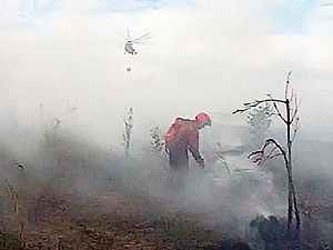 В Полтавской области загорелись торфяники