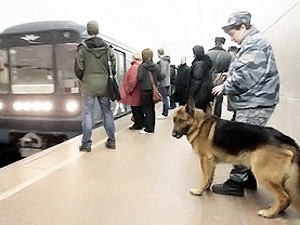 В Кременчуге поймали юных зэков-беглецов