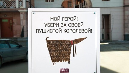 Как домашние питомцы воспитывают своих хозяев: новая соцреклама взорвала интернет