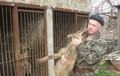 В Крыму на помощь милиции и спецслужбам придут полуволки