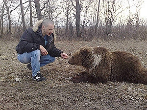 Появившегося под Луцком медведя несколько часов стерегла милиция