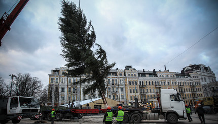 В Киев с трембитами приехала главная елка страны