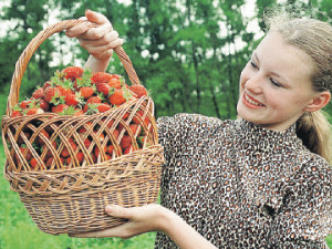 Царица ягод избавит от болезней