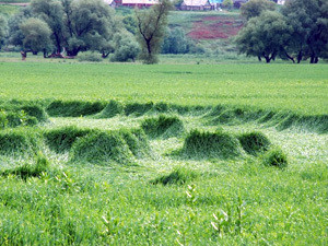 НЛО наследил в Башкирии