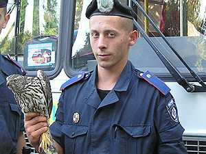 За нападение на детскую площадку милиция 