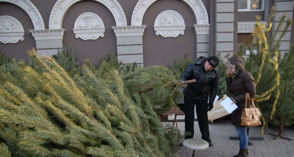 В каждую новогоднюю елку вживят электронный чип