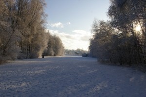 Главный синоптик страны: С 12 февраля ждем ослабления морозов