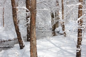 Из-за морозов Чоп второй день сидит без воды