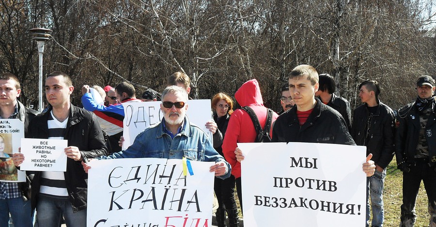 На одесский митинг против мажоров пришла алчная 