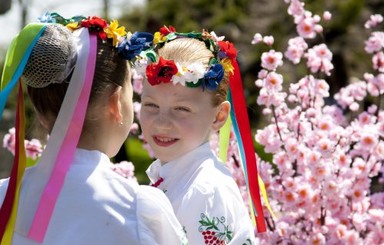 Киевская аллея сакур занесена в Книгу рекордов Украины