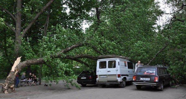 На ХТЗ дерево разбило три машины