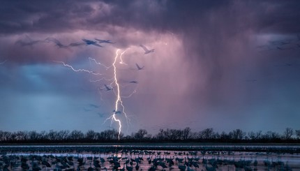 Издание Nature опубликовало лучшие научные снимки 2016 года