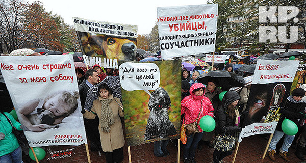 Леонид Ярмольник пригрозил, что будет... убивать догхантеров