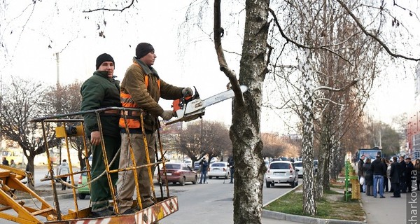 Кернесу за неделю прислали полтысячи фотожалоб