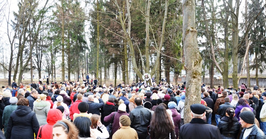 К дереву, на котором проявился лик Богородицы, ринулись паломники 