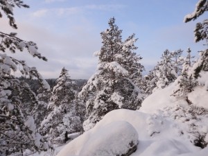 Столько снега в Киеве не фиксировалось за весь период метеонаблюдений