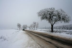 В Киев пустили фуры с нужными городу товарами