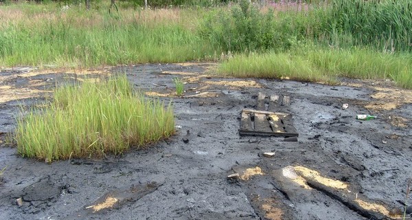 У берегов Дуная на Одесчине разлился мазут – пятно растянулось на 150 квадратных метров