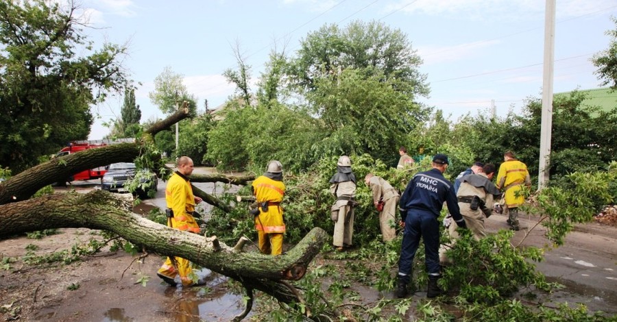 В Мелитополе дерево рухнуло на проезжающую мимо 