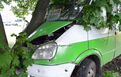 Под Харьковом женщина на иномарке врезалась в маршрутку