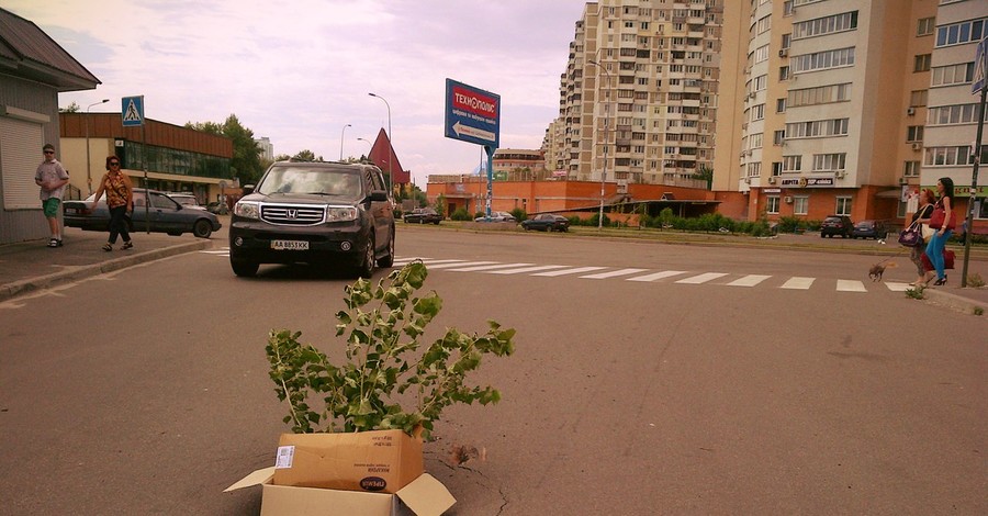 В ямах на киевских дорогах 