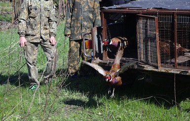 Военные вырастили полторы сотни 