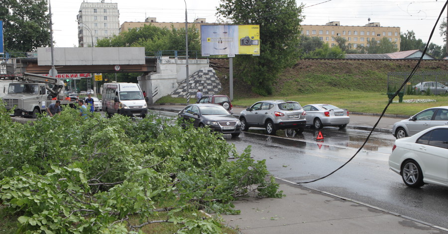 В Мариуполе спасая собаку погиб молодой мужчина