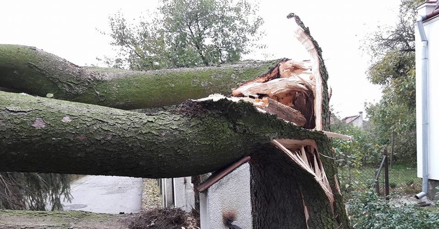 Ураган во Львове