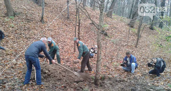 Три орешка для Стрыйского парка