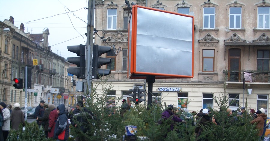 Где во Львове можно купить живую елку