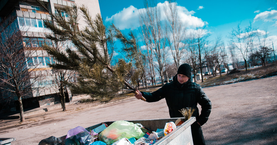 Новогодние елки пошли на удобрения и обогрев 