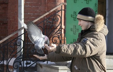 У киевских птиц начался феврапрель 