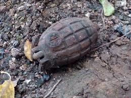 Во Львове на детской площадке обнаружили предмет, похожий на ручную гранату