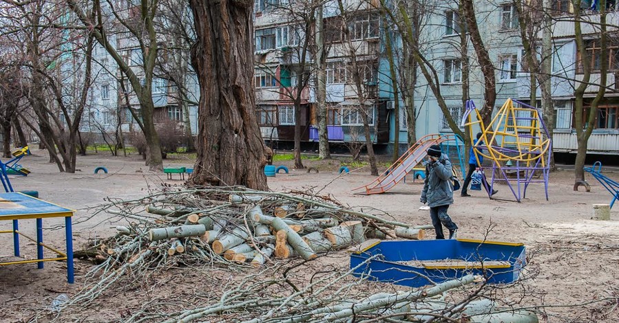 В Запорожье ураган вырывал тополя с корнями