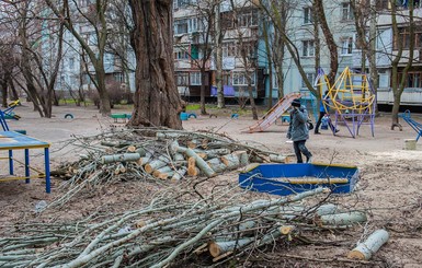 В Запорожье ураган вырывал тополя с корнями