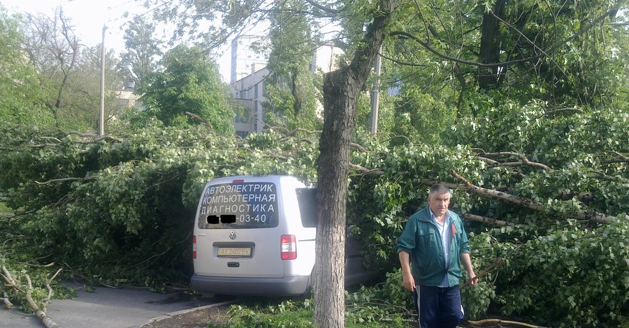 В Киеве дерево упало на автомобиль