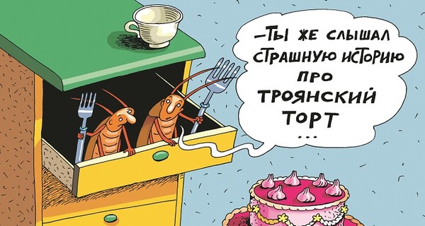 Тараканы отказались от сладкого и стали почти непобедимыми! 