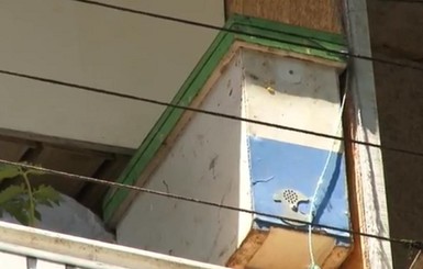 Одесситка обустроила пасеку на балконе пятиэтажки